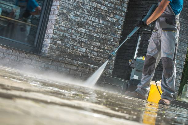 Best Graffiti Removal Services in Palmhurst, TX