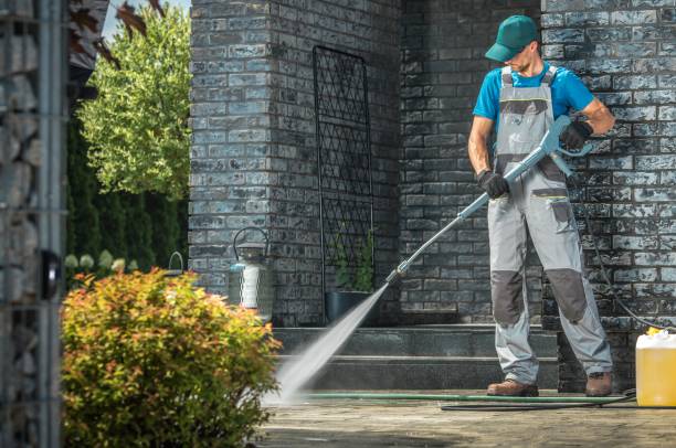 Best Gutter Cleaning and Brightening in Palmhurst, TX