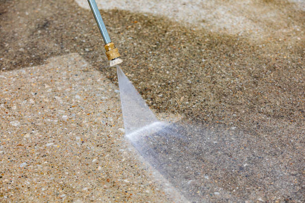 Best Concrete Surface Cleaning in Palmhurst, TX