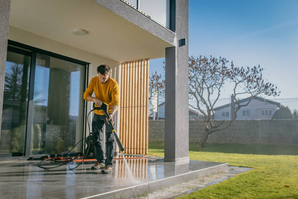 Best Brick and Stone Cleaning in Palmhurst, TX