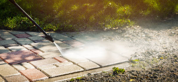 Best Oil and Grease Removal from Surfaces in Palmhurst, TX