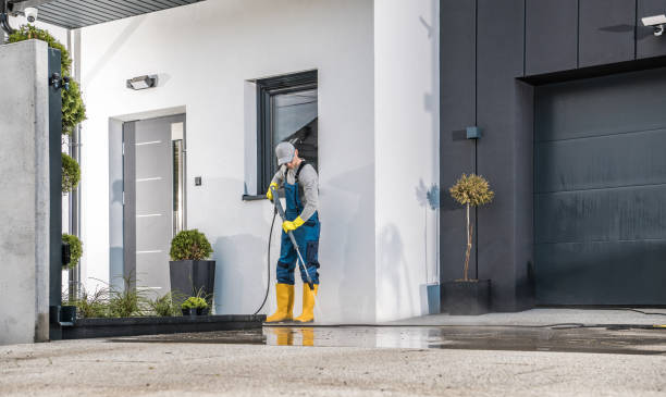 Best Roof Cleaning and Mildew Removal in Palmhurst, TX